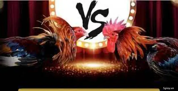 Trải Nghiệm Đá Gà 888B Đẳng Cấp Chuyên Nghiệp Nhận Thưởng Lớn