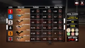 Bí Quyết Chơi Đua Chó 888B Luôn Thắng Từ Chuyên Gia Cược